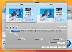 wtv苹果版appletv官网下载安装-第1张图片-太平洋在线下载