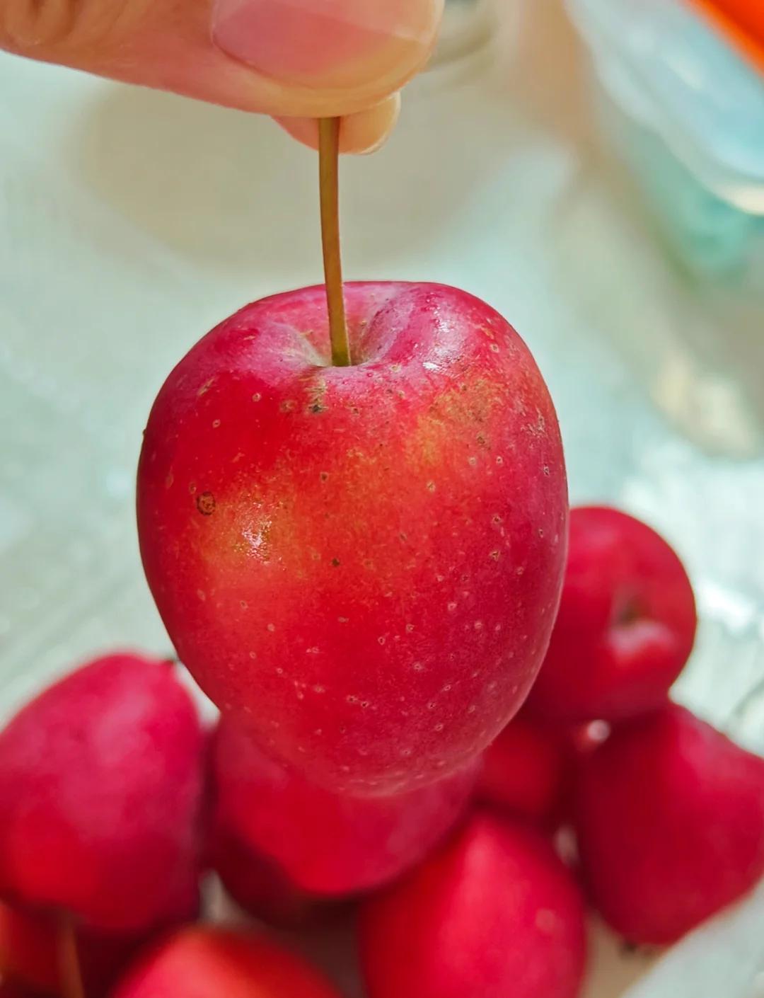 小苹果纽约版小苹果apple-第1张图片-太平洋在线下载